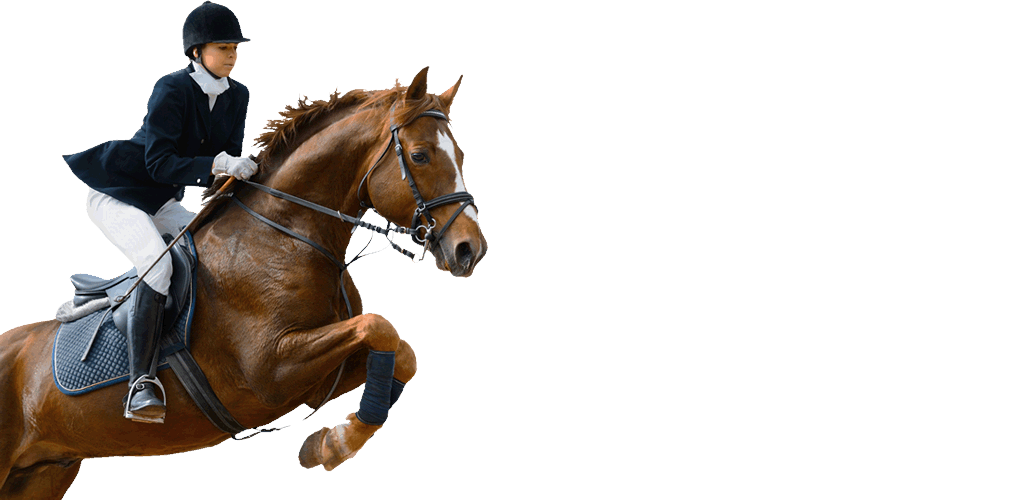 horse riding and agistment